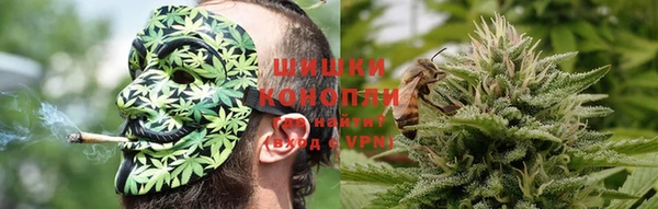 ГАЛЛЮЦИНОГЕННЫЕ ГРИБЫ Богданович