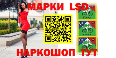 apvp Канаш