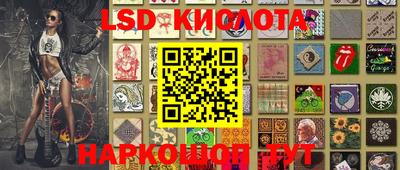 apvp Канаш