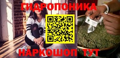 apvp Канаш