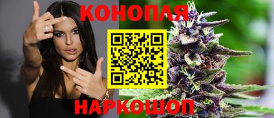 apvp Канаш