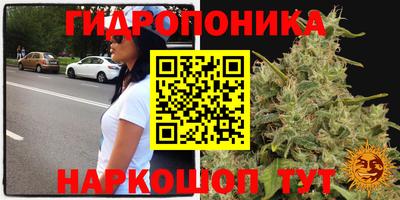 СК Кандалакша
