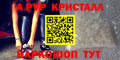 СК Кандалакша