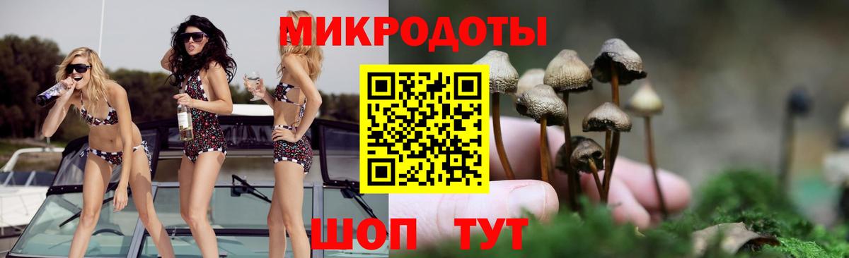 Галлюциногенные грибы MAGIC MUSHROOMS  Вход с VPN  Химки 