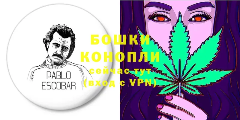 Каннабис OG Kush  как найти   Химки 